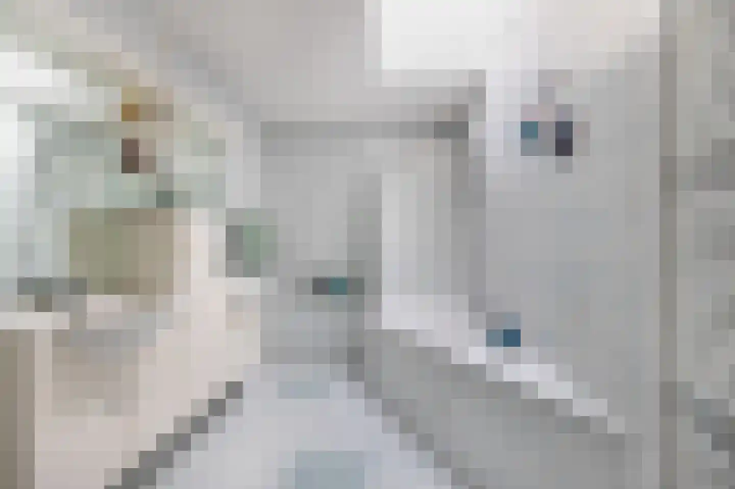 De Muy 141 Hoofddorp thumbnail 24