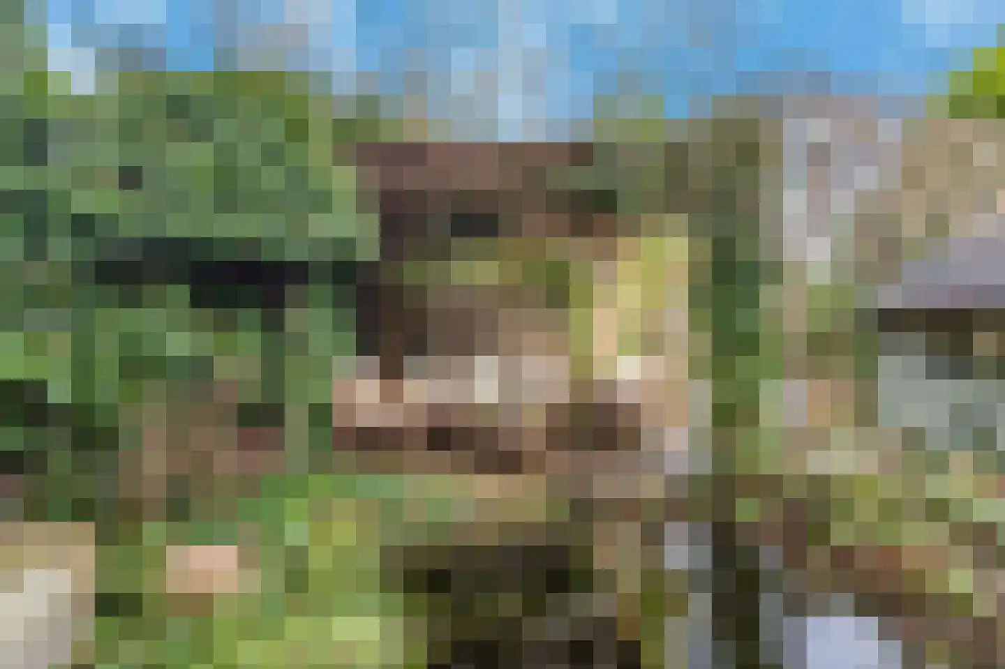 De Muy 141 Hoofddorp thumbnail 35