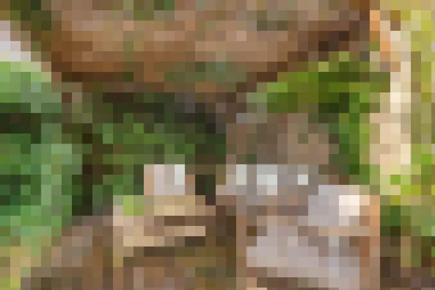 De Muy 141 Hoofddorp thumbnail 36