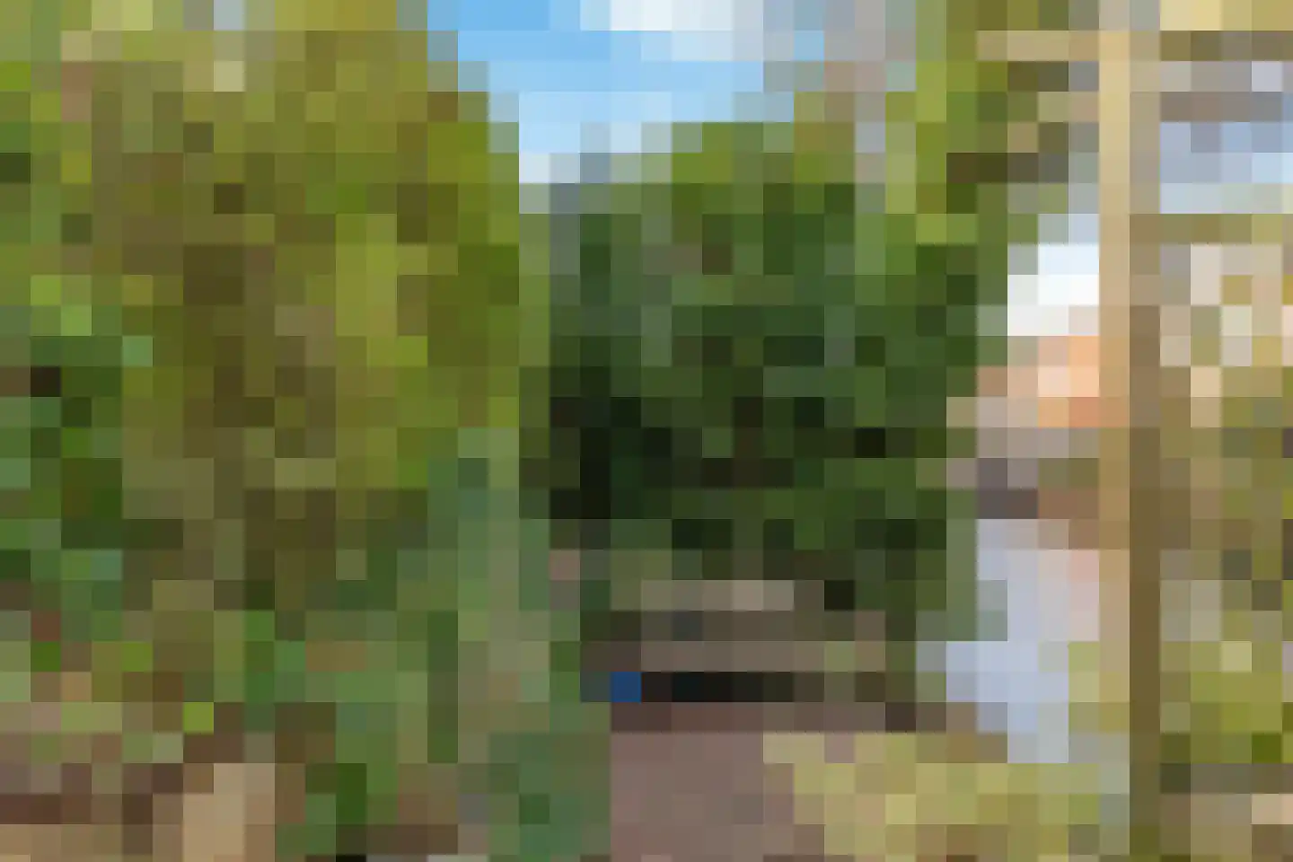 De Muy 141 Hoofddorp thumbnail 40