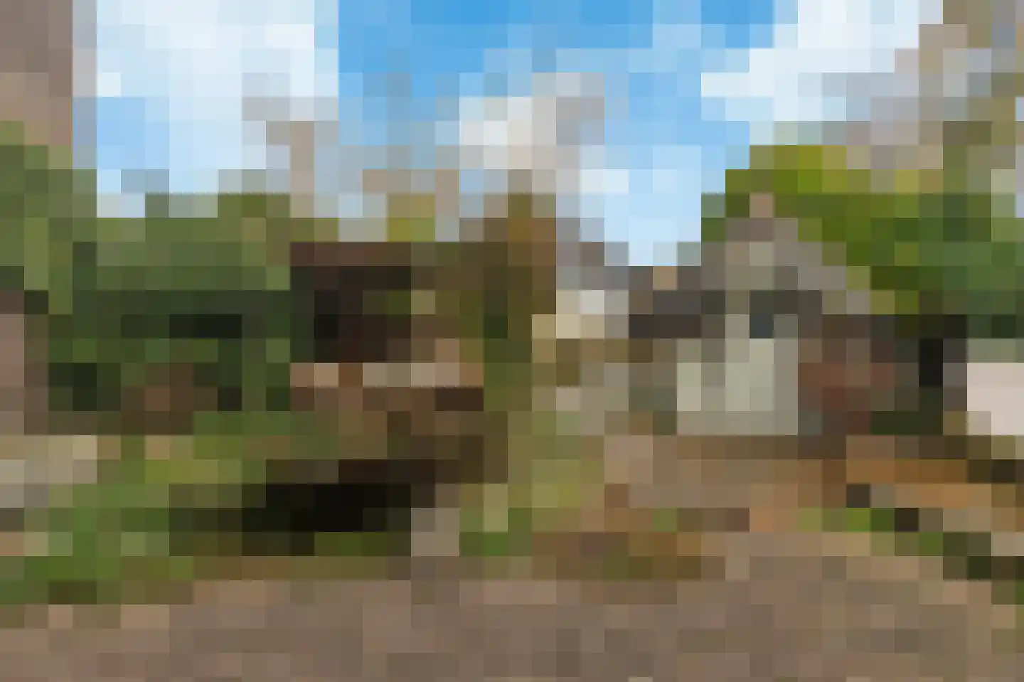 De Muy 141 Hoofddorp thumbnail 5