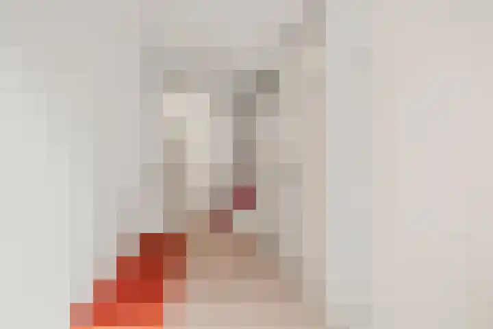 De Muy 161 Hoofddorp thumbnail 11