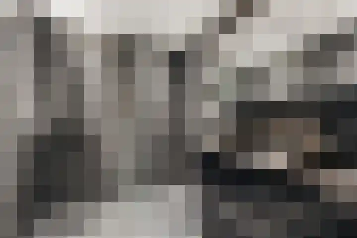 De Muy 161 Hoofddorp thumbnail 20