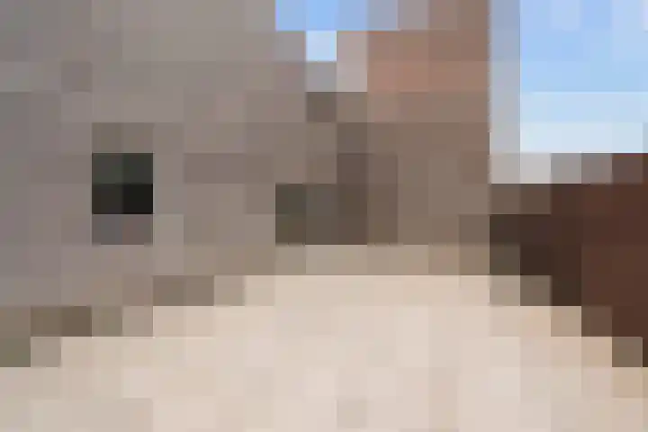De Muy 161 Hoofddorp thumbnail 25