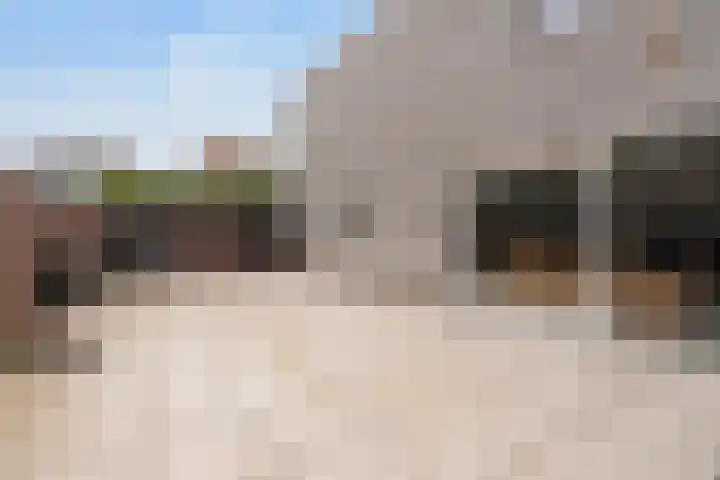 De Muy 161 Hoofddorp thumbnail 26