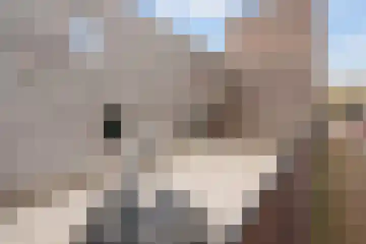 De Muy 161 Hoofddorp thumbnail 31