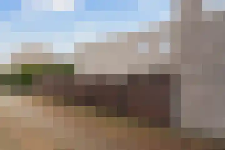 De Muy 161 Hoofddorp thumbnail 32