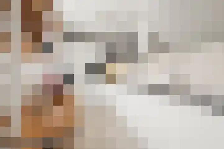 De Muy 161 Hoofddorp thumbnail 7