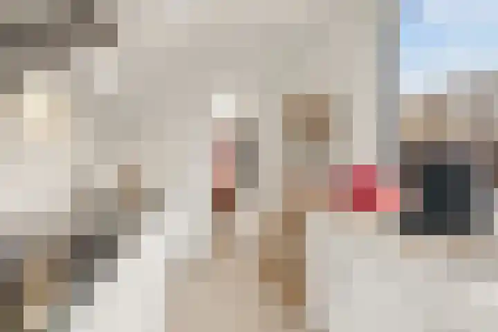 De Muy 161 Hoofddorp thumbnail 8