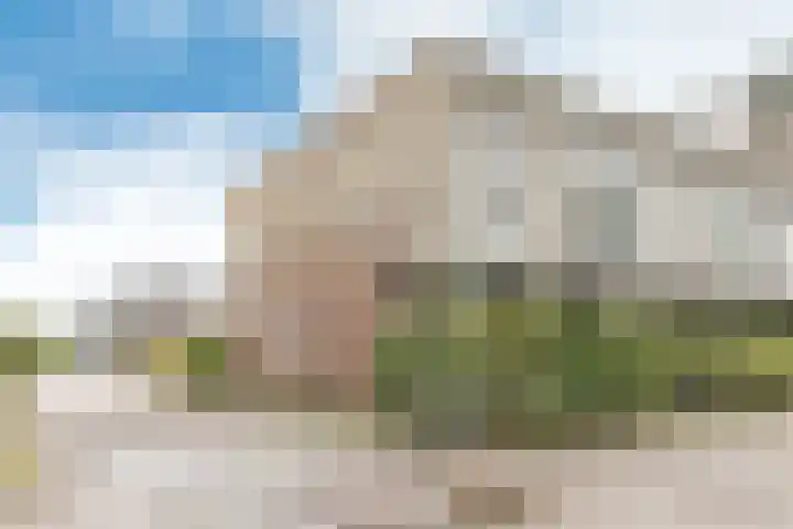 De Muy 313 in Hoofddorp