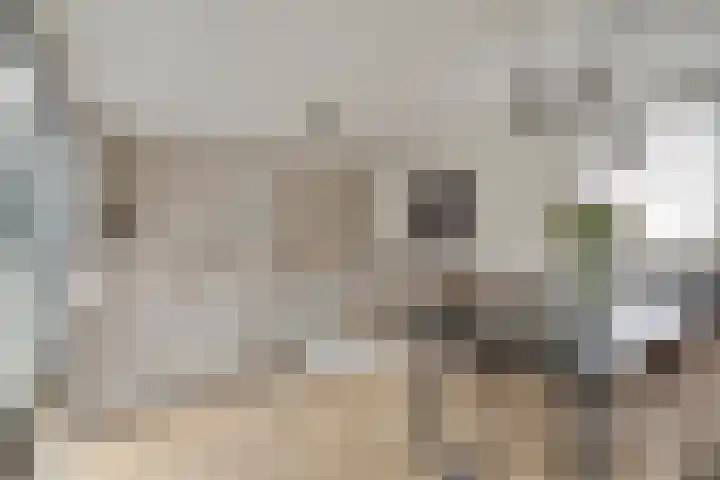 De Muy 389 Hoofddorp thumbnail 11