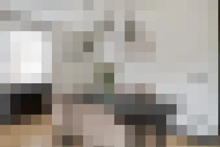 De Muy 389 Hoofddorp thumbnail 13