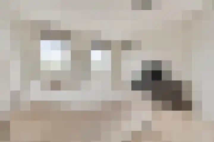 De Muy 389 Hoofddorp thumbnail 23