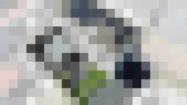 De Muy 389 Hoofddorp thumbnail 5
