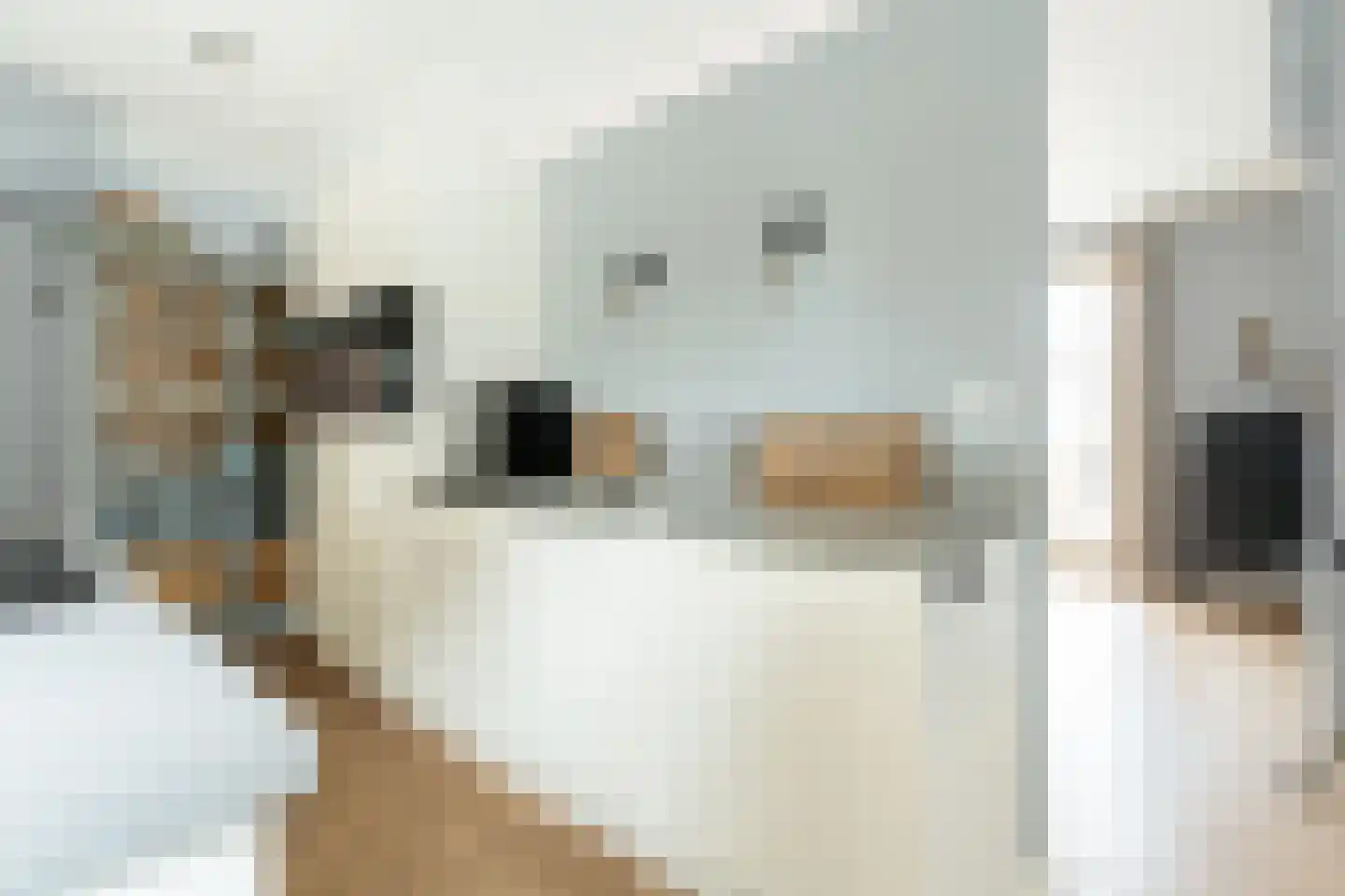 De Muy 409 Hoofddorp thumbnail 12