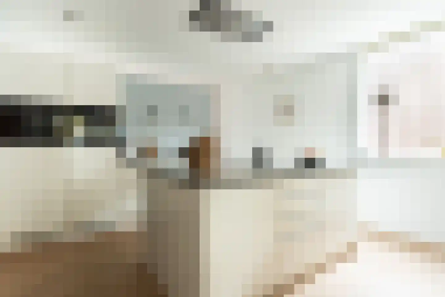 De Muy 409 Hoofddorp foto 2