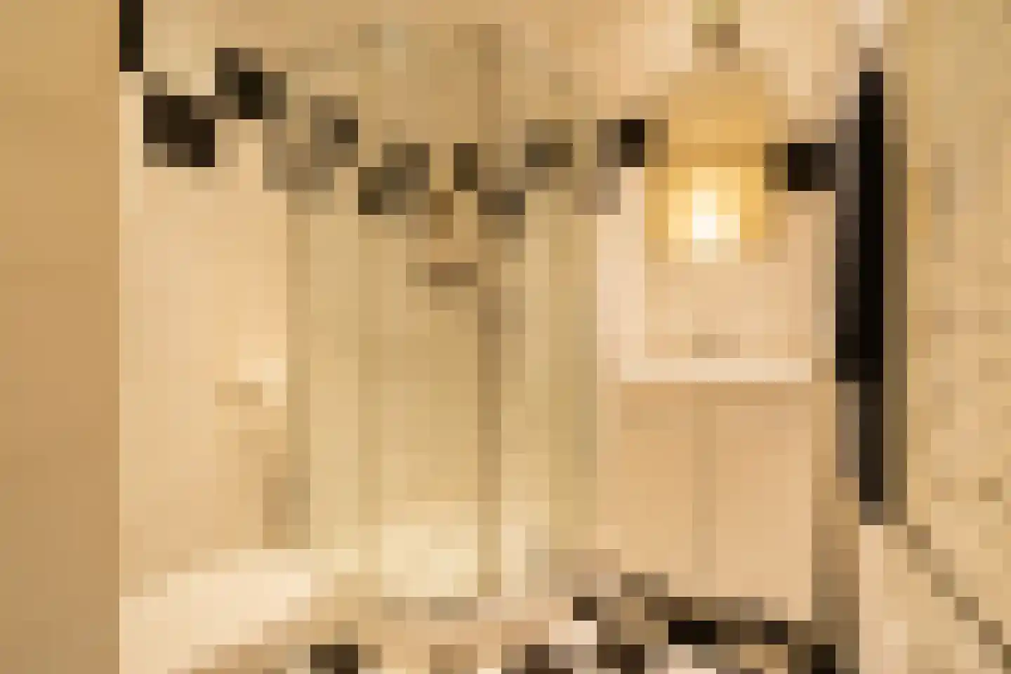 De Muy 409 Hoofddorp thumbnail 54