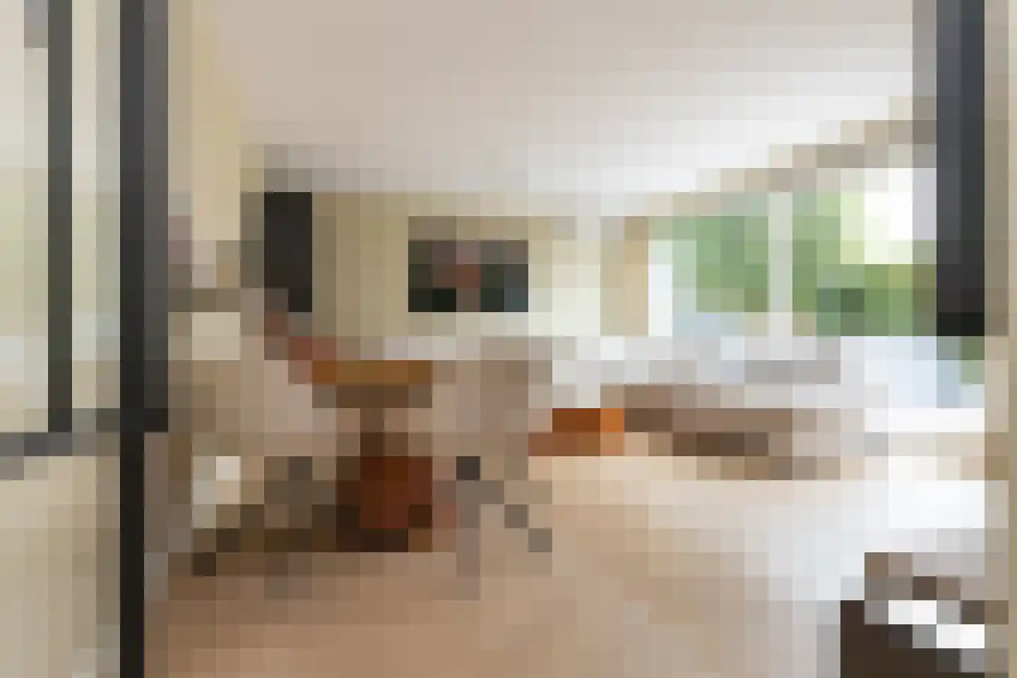 De Muy 87 Hoofddorp thumbnail 10