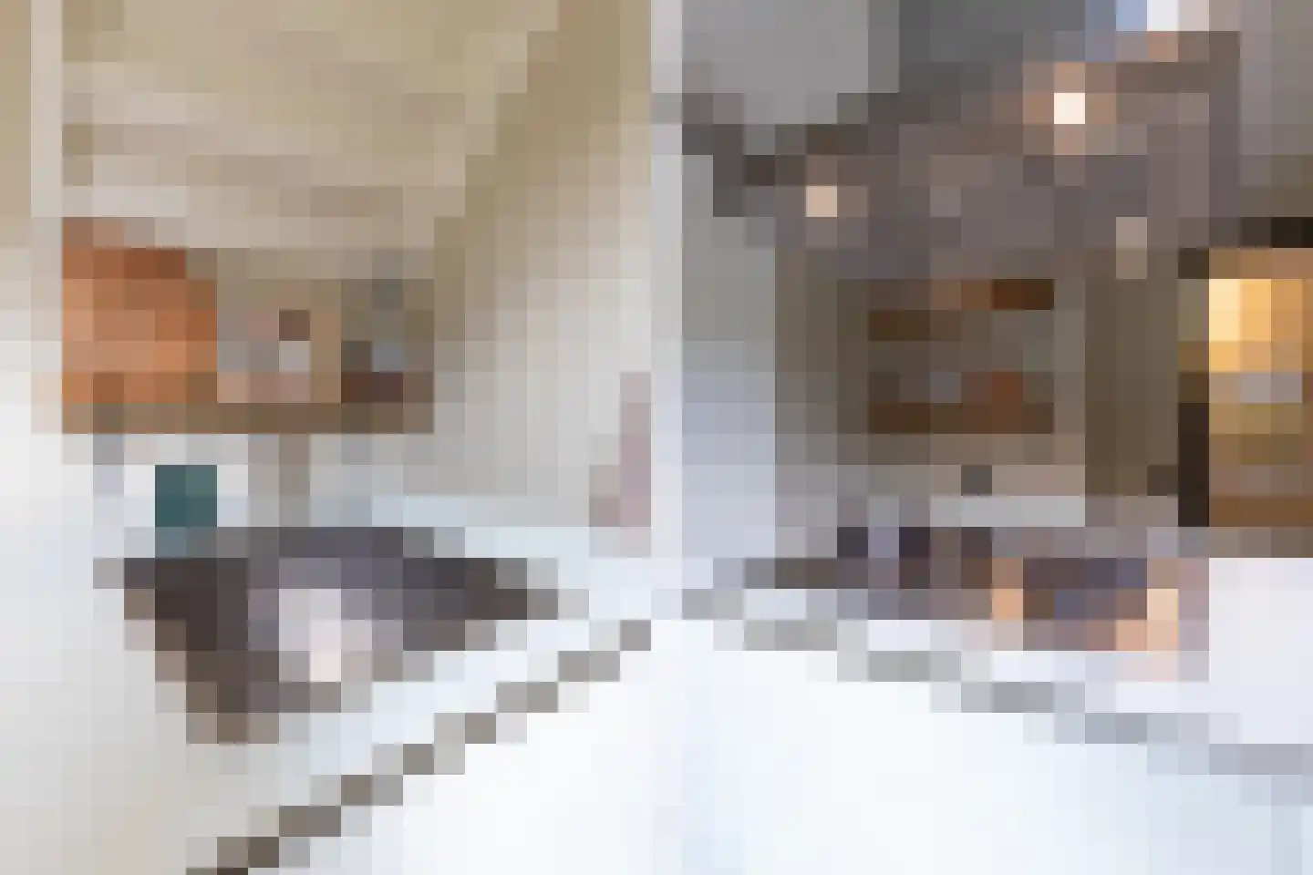 De Muy 87 Hoofddorp thumbnail 19