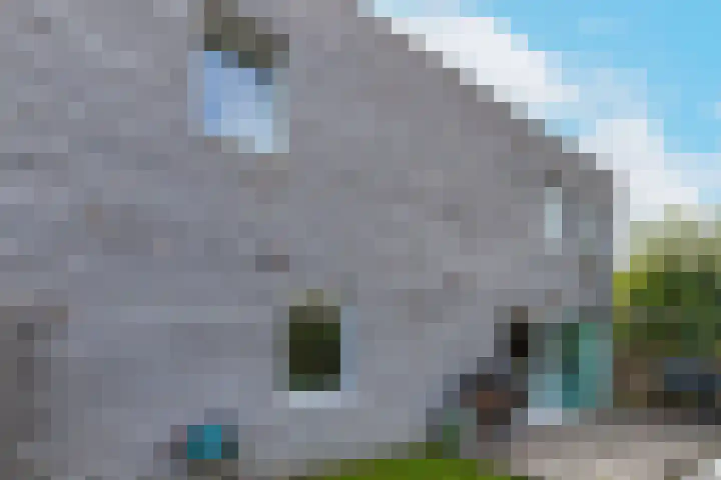 De Muy 87 Hoofddorp thumbnail 42