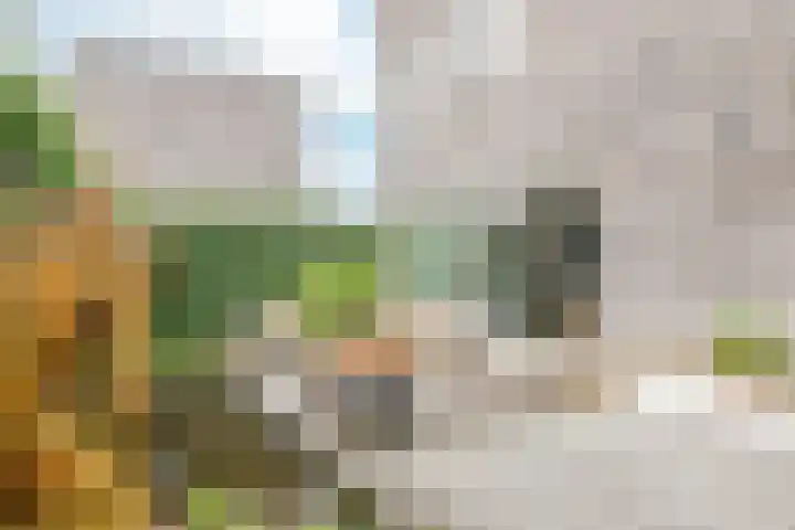 De Muy 95 Hoofddorp thumbnail 17