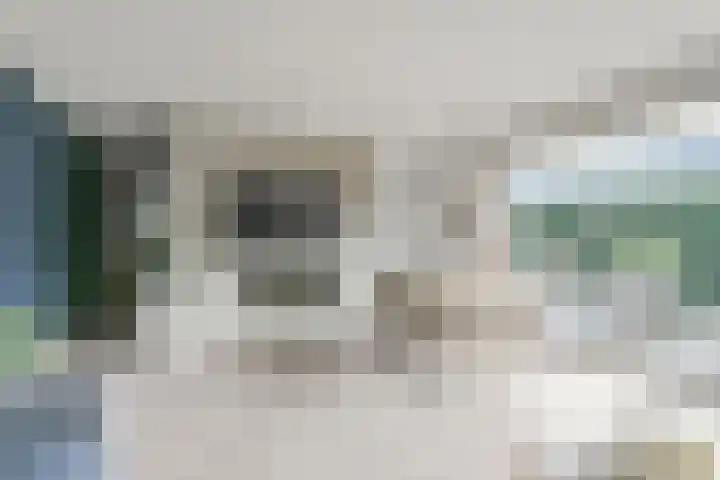 De Muy 95 Hoofddorp foto 2