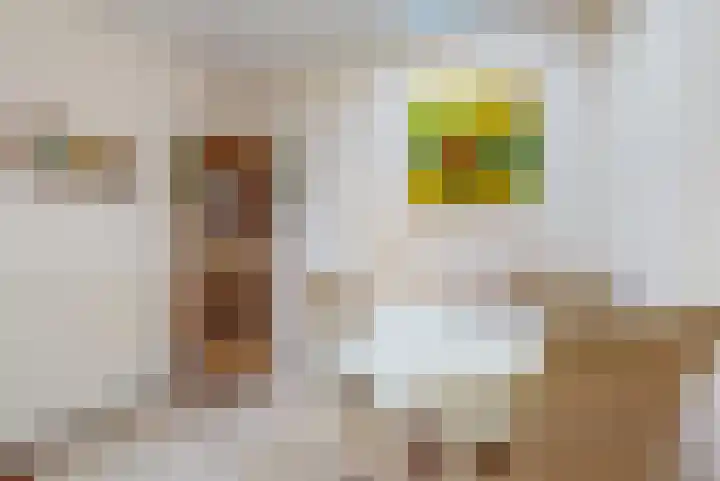 De Muzen 14 Aalsmeer thumbnail 12
