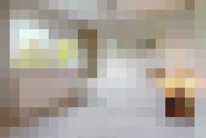 De Muzen 14 Aalsmeer thumbnail 15