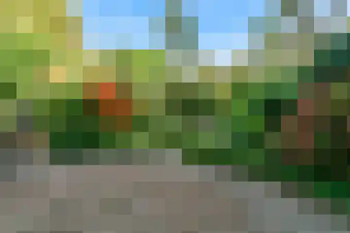 De Muzen 14 Aalsmeer thumbnail 26