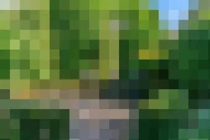 De Muzen 14 Aalsmeer thumbnail 30