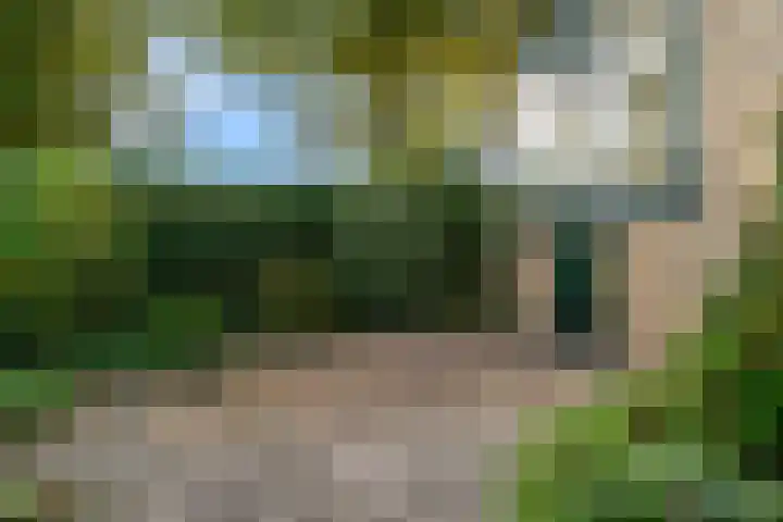De Muzen 14 Aalsmeer thumbnail 32