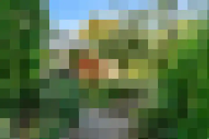 De Muzen 14 Aalsmeer thumbnail 33