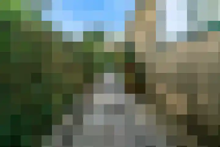 De Muzen 14 Aalsmeer thumbnail 34