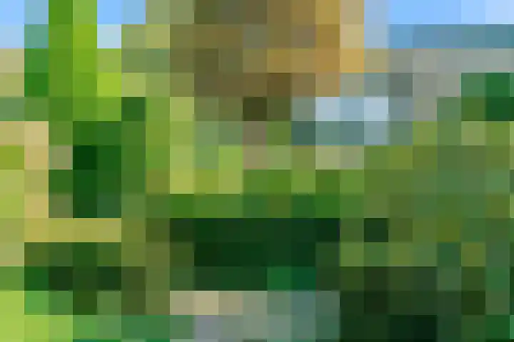 De Muzen 14 Aalsmeer thumbnail 36