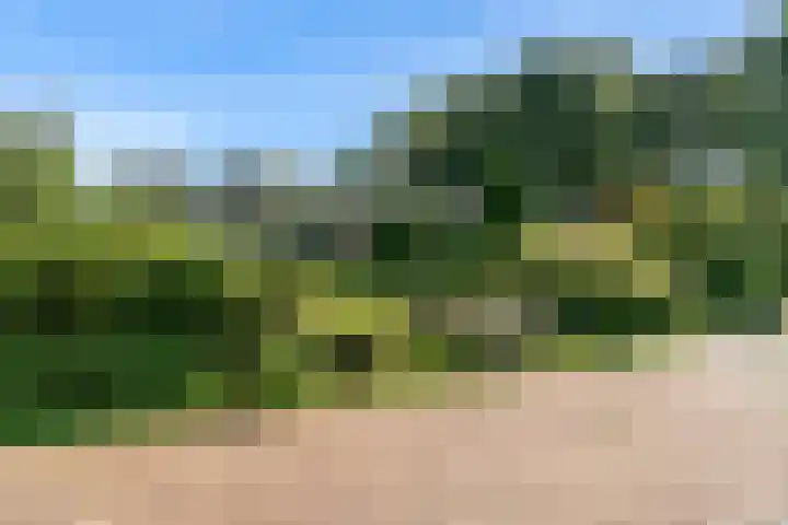 De Muzen 14 Aalsmeer thumbnail 39