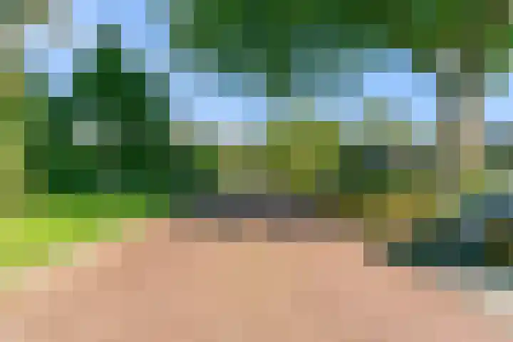 De Muzen 14 Aalsmeer thumbnail 40