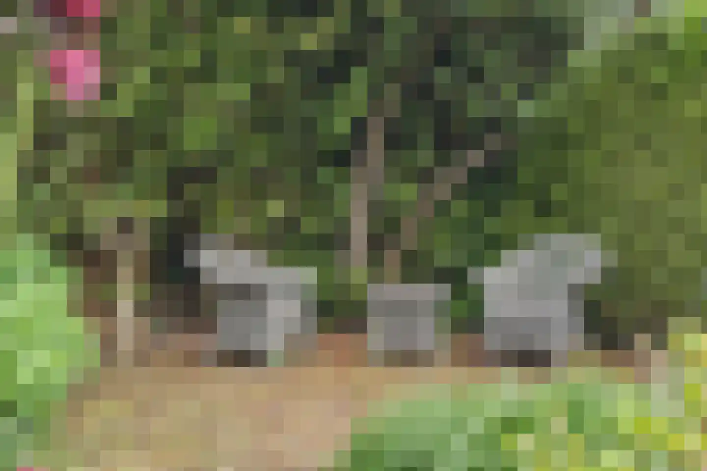 De Muzen 22 Aalsmeer thumbnail 15