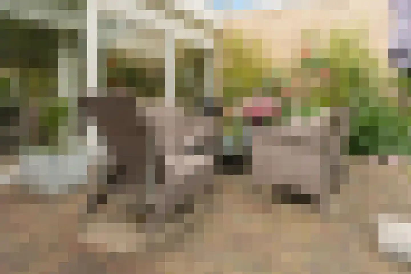 De Muzen 22 Aalsmeer thumbnail 18