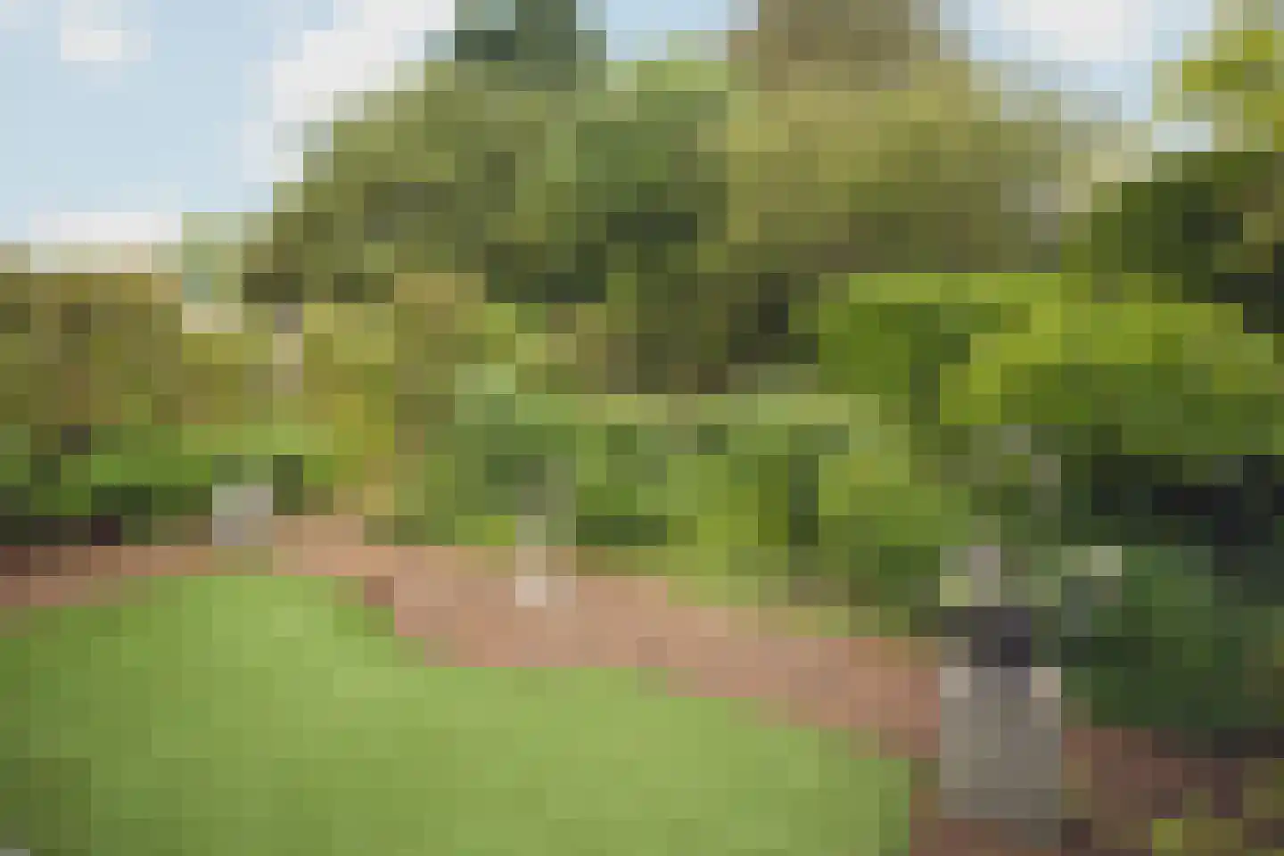 De Muzen 22 Aalsmeer thumbnail 19