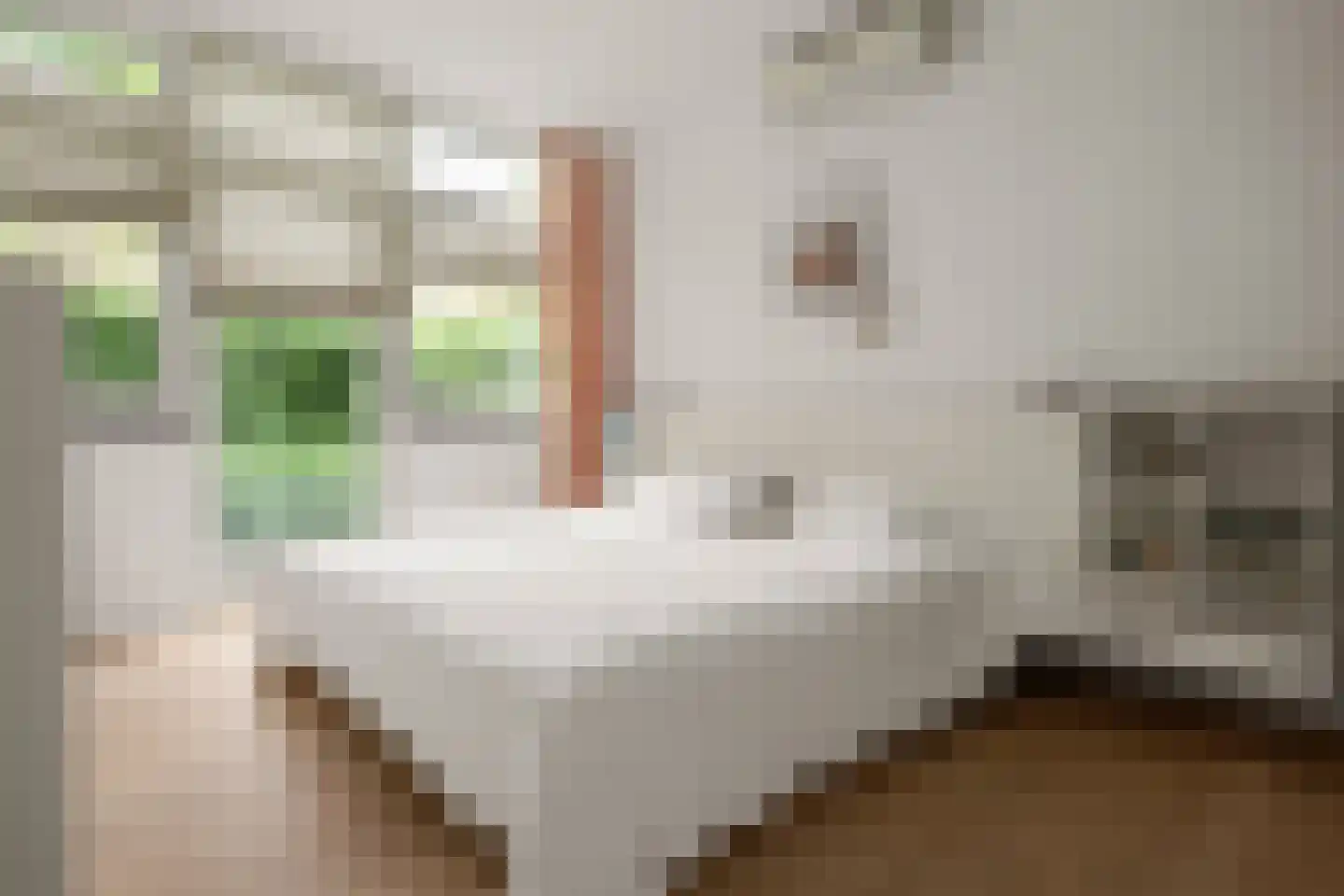 De Muzen 22 Aalsmeer thumbnail 30