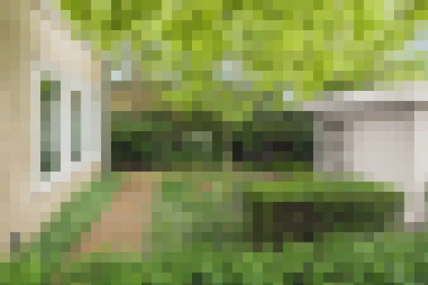 De Muzen 22 Aalsmeer thumbnail 40