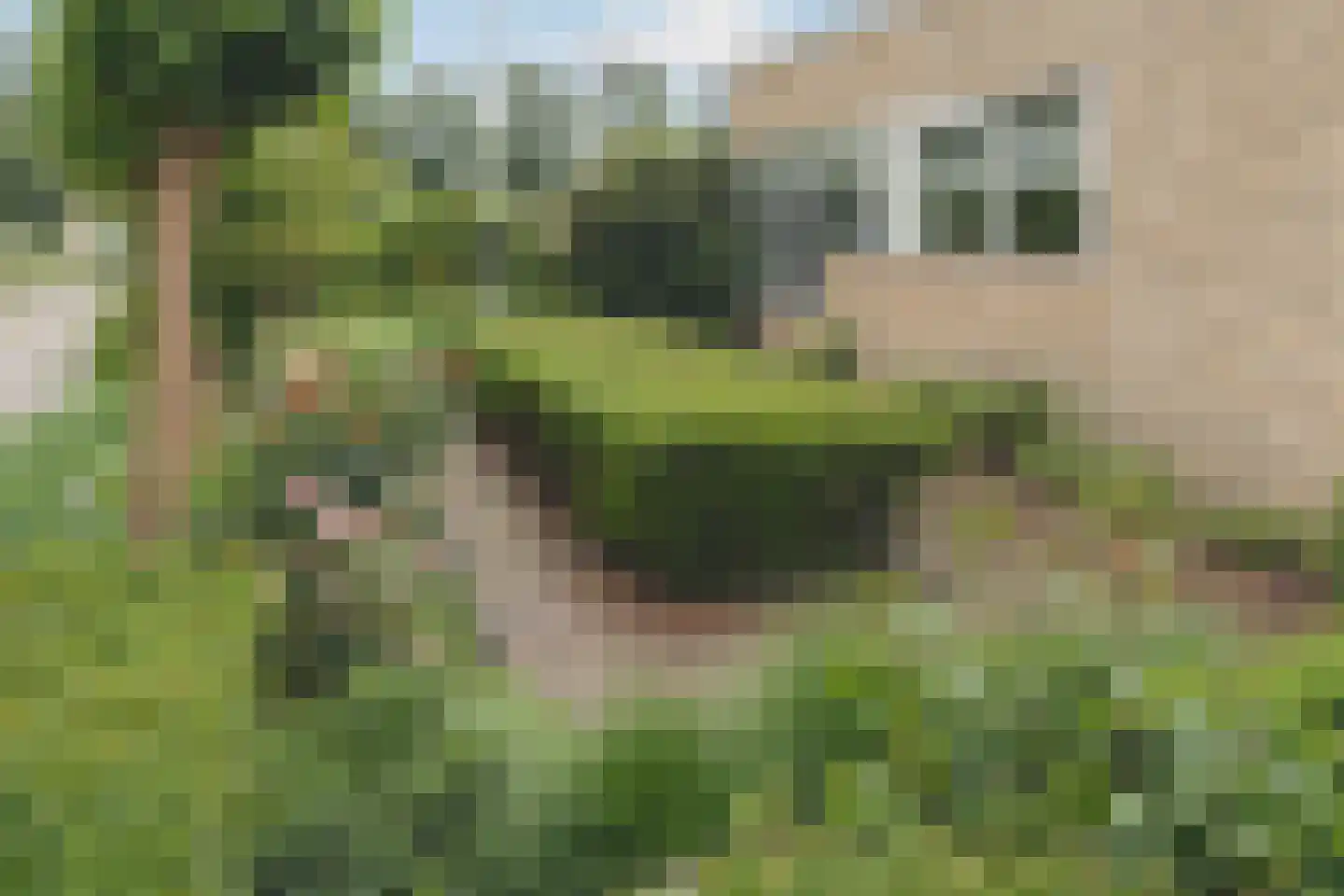De Muzen 22 Aalsmeer thumbnail 41