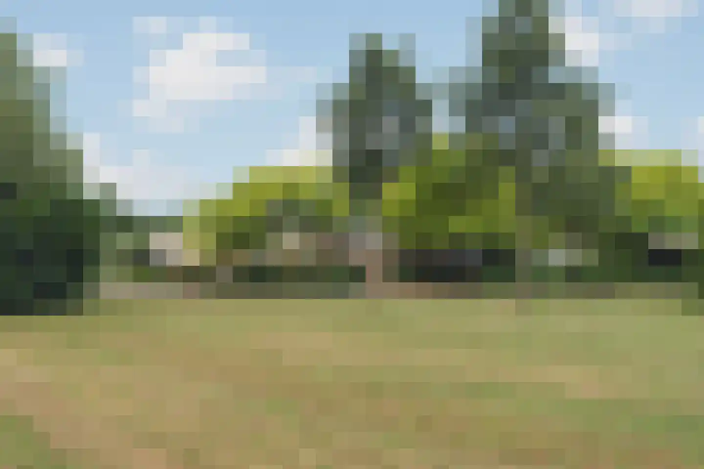 De Muzen 22 Aalsmeer thumbnail 43