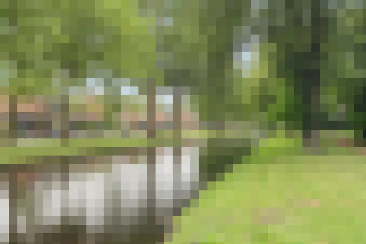 De Muzen 22 Aalsmeer thumbnail 44