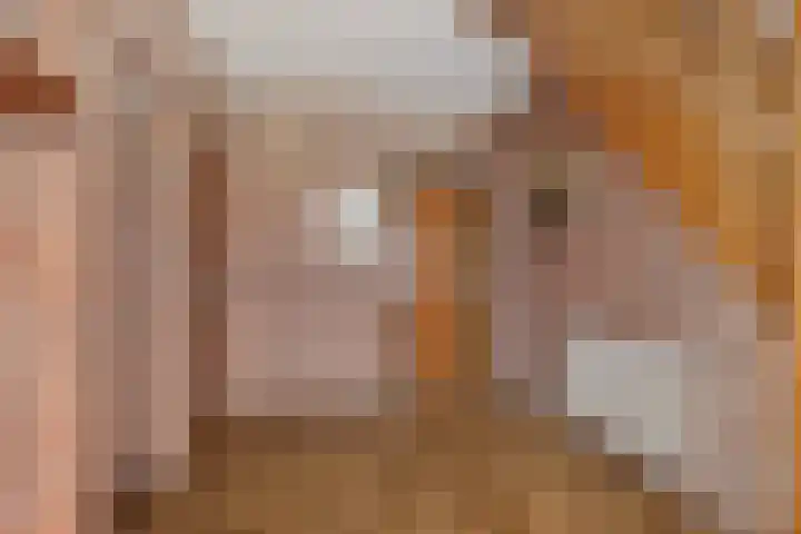 De Nachtegaal 11 Surhuisterveen thumbnail 18