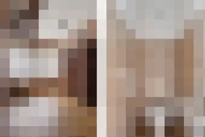 De Nachtegaal 11 Surhuisterveen thumbnail 19