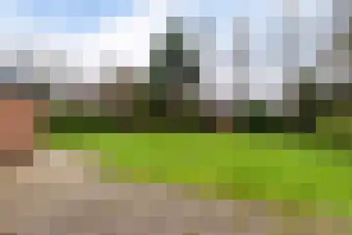 De Nachtegaal 11 Surhuisterveen thumbnail 33