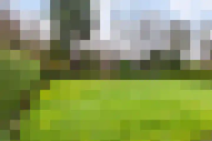 De Nachtegaal 11 Surhuisterveen thumbnail 34