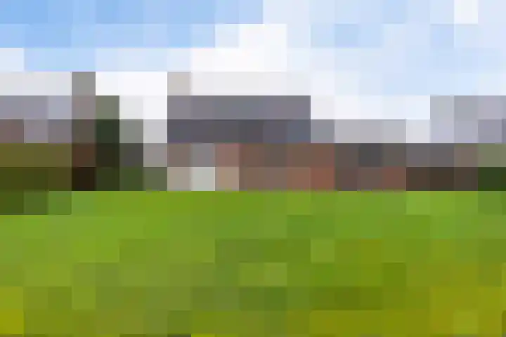 De Nachtegaal 11 Surhuisterveen thumbnail 36