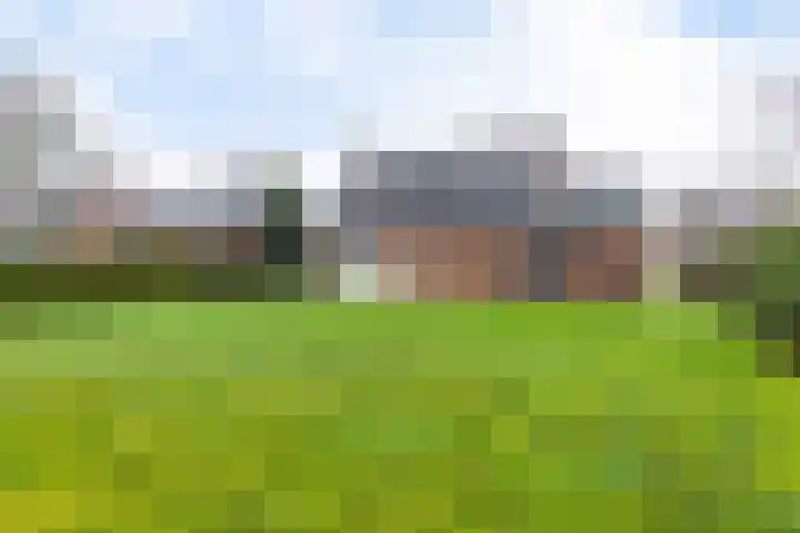 De Nachtegaal 11 Surhuisterveen thumbnail 37